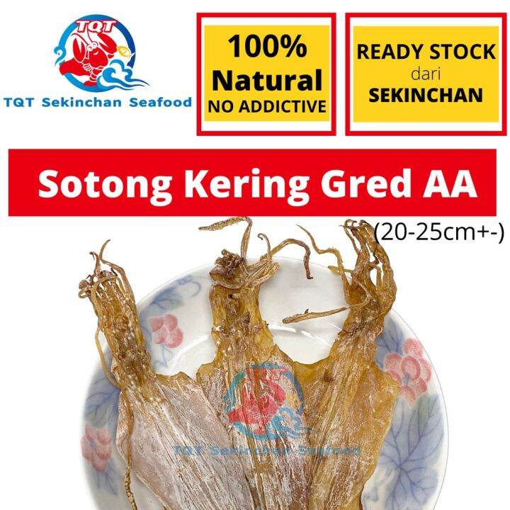 TQT SEKINCHAN SOTONG KERING Gred 3A / AA (100g) / Dried Squid Lazada