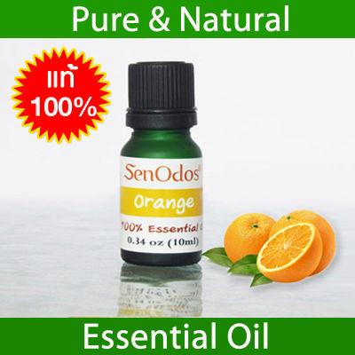 SenOdos น้ำมันหอมระเหยแท้ 100% กลิ่นส้ม Orange Pure Essential Oils กลิ่นส้ม ไร้กลิ่นปรุงแต่ง ไม่เจือจาง 10 ml