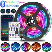 ❣□✤ 1M-30M LED Strip Lights RGBIC WS2812B/RGB 5050 5V Bluetooth Infrared Control Luces TV Computer Backlight Room Decorate Fita Lamp