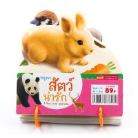 ขายดี? BIG CARD สัตว์ป่ามหาสนุก แฟลชการ์ด FLASH CARD ANIMAL การ์ดคำศัพท์พื้นฐาน บัตรคำ เสริมพัฒนาการ  FLASHCARD สัตว์น่ารัก