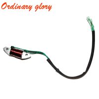 Outboard Engine 61N-81313-09 Lighting Coil for YAMAHA C 25HP 30HP 2 stroke Boat Motor E25B E30H