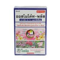 SuperSales - X1 ชิ้น - ปุ๋ยอนินทรีย์ ระดับพรีเมี่ยม 12-25-6 SOTUS 1 กก. ส่งไว อย่ารอช้า -[ร้าน KanokchananShop จำหน่าย อุปกรณ์แต่งสวน ราคาถูก ]