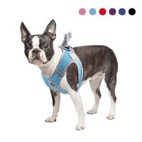 Nylon Mesh Dog Harness Vest Reflective Small Dog Cat Harness Adjustable Pet Puppy Product French Bulldog Chihuahua Pug Supplies Collars