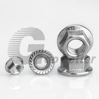 A4 316 Baja Tahan Karat Hexagon Flange Nuts M3 M4 M5 M6 M8 M10 M14 M16 Hex Head Gerigi Spinlock Locking Nut