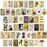 【Kiki tool store】 50Pcs Vintage Botanical Tarot Aesthetic Wall Collage Kit Flora amp; Fauna Insects Illustration Art Posters Card Bedroom Decor