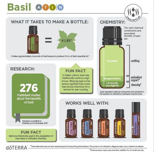 doterra-essential-oil-เบซิล-basil-ขนาด-15-ml