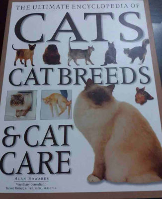 Cats cat breeds &amp; cat care