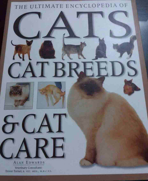 cats-cat-breeds-amp-cat-care