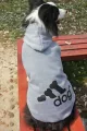 【หมวก】ชุดสุนัขให้ความอบอุ่นในฤดูหนาวเสื้อแจ็คเก็ตผ้าสำหรับหมาโกลด์เดนรีทรีฟเวอร์ลาบราดอร์ขนาดใหญ่Adidog Hoodie. 