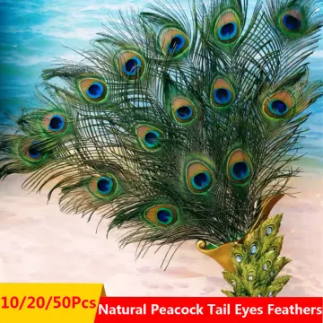 20Pcs/Lot Natural Peacock Feathers for Crafts Table Centerpieces Peacocks  Sword Decorative Feather DIY Handicraft Accessories