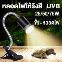 หลอดไฟ UVB 3.0 สำหรับเต่า สัตว์เลื้อยคลาน หลอดไฟให้รังสี ส่งด่วน