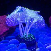 【CC】✈  Silicone Artificial Aquarium Sea Anemone Ornament Decoration Accessories