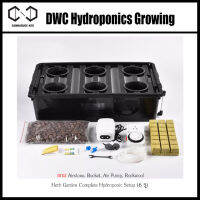 [ส่งจากไทย] DWC Hydroponics Growing System Full Kit แถม Airstone, Bucket, Air Pump, Rockwool Herb Garden Complete Hydroponic Setup (6 รู) ถังไฮโดรโปรนิกส์ DWC ถังโคลนนิ่งแบบน้ำ ติดแน่นอน