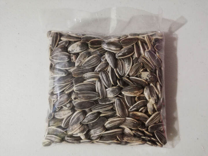 Sunflower Seeds (Hamsters Foods and Treats) 100g Lazada PH