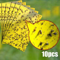 maoyuanxing 10x15cm 10X fly glue trap anti moustique aphids white flies fruit fly catcher