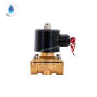 SafetyDrink Solenoid valve ทองเหลือง 1/2  UNIPURE AC220V