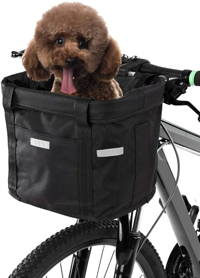 Front bike best sale basket for cat