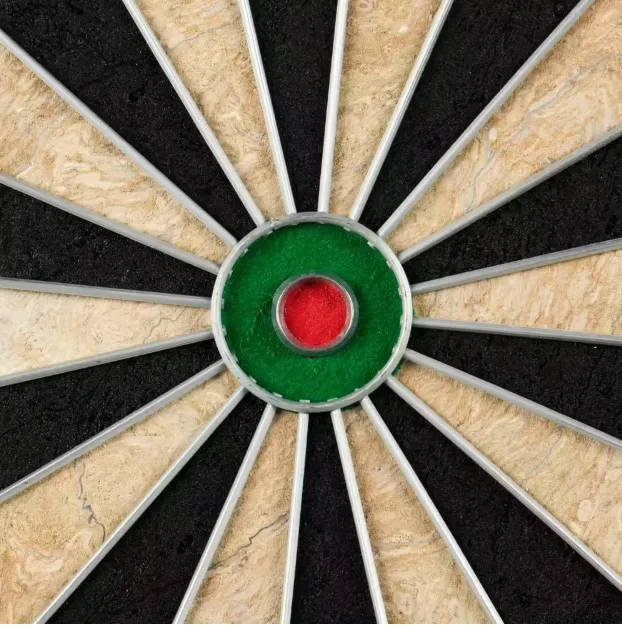 dartboard-club-steel-tip-size-18-inch