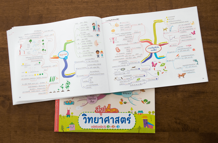 science-map-สรุปเนื้อหาวิทยาศาสตร์-ระดับมัธยมต้น