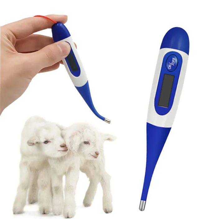 Electronic LCD Digital Temperature Measurement Portable Veterinary