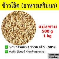 ข้าวโอ๊ต สำหรับนกและสัตว์ฟันแทะ (แบ่งขาย)