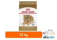 Royal Canin Golden Retriever Adult 12kg โรยัลคานิน อาหารสุนัขโต โกลเด้น รีทริฟเวอร์ ขนาด 12 กิโลกรัม