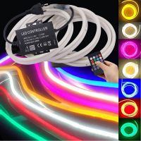 220V 110V Led Neon Strip Light RGB Music Bluetooth-compatible Remote Flexible 2835 5050 120LED Ribbon Lamp String Waterproof