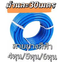 สายยาง 【ม้วนละ30เมตร】4หุน 5หุน 6หุน สายยางสีฟ้า แบ่งขายเป็นเมตร