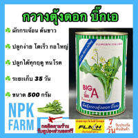 กวางตุ้งดอก บิ๊กเอ Big A ขนาด 500 กรัม ผักกระจ้อน เมล็ดพันธุ์ ลอตใหม่ งอกดี ปลูกง่าย กอใหญ่ ปลูกได้ทั้งปี ทนทานโรค ระยะเก็บเกี่ยว 35 วัน