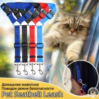 [HOT HOT SHXIUIUOIKLO 113] สายรัดคอสุนัข Cat Lead Pet Car Belt Leash Dog For Safety Small Belt Kitten Back Seat Belt Dogs Collar Cat Pet Accessories