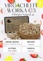 พร้อมส่ง เมล็ดกาแฟดิบ Yirgacheffe Worka G3 Natural process/ เมล็ดกาแฟนอก/ เมล็ดกาแฟสารเอธิโอเปีย