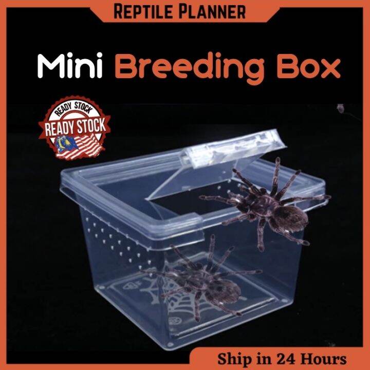 Reptile Plastic Breeding Box Shelter Insects House Transport Feeding