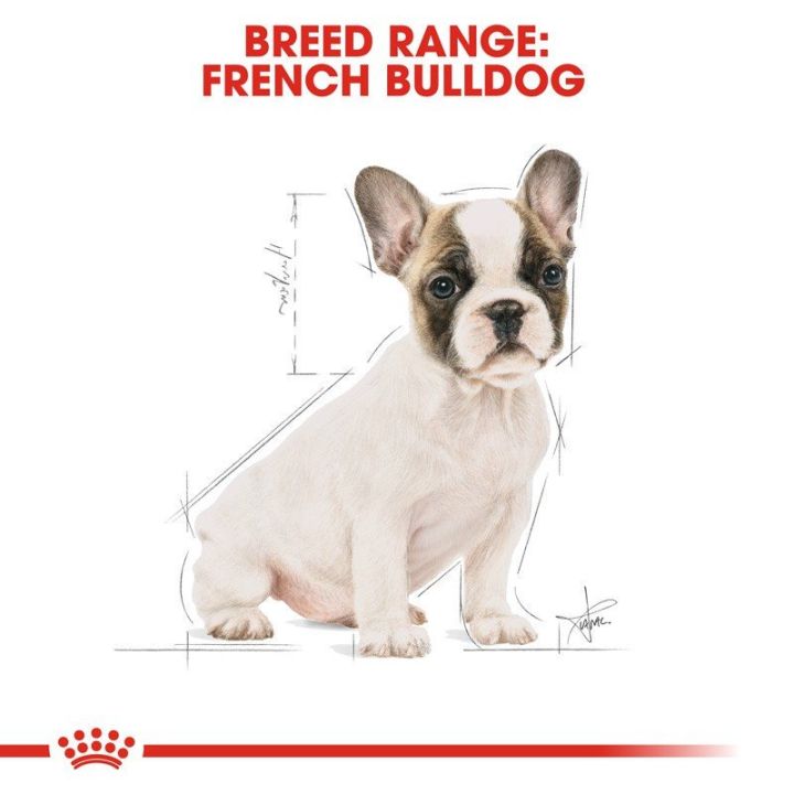 ส่งฟรี-royal-canin-french-bulldog-puppy-3kg-อาหารเม็ดลูกสุนัข-พันธุ์เฟรนช-บูลด็อก-อายุต่ำกว่า-12-เดือน