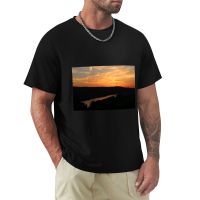 Sunset Over The Rhine River, Germany T-Shirt Anime Clothes Short T-Shirt Black T Shirt Hippie Clothes MenS T-Shirts