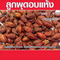 ลูกพุดอบแห้ง บรรจุ20กรัม ลูกพุด สมุนไพร คัดเกรด อย่างดี เม็ดพุด เม็ดพุดจีน เมล็ดกุยจี กีจี้ ดอกพุดจีน เมล็ดเก๊กฮวย HERB
