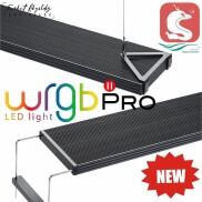 HOÀN TIỀN 10%ĐÈN CHIHIROS WRGB PRO 60CM
