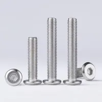 M8 M10 M12 Stainless Steel 304 Flat Round Head Hexagon Socket Furniture Chamfered Screws and Bolts