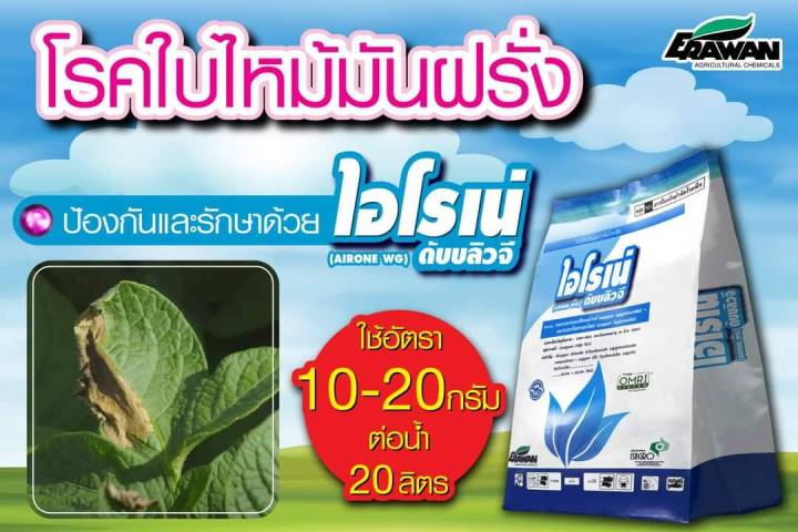 ไอโรเน่-100กรัม-airone-wg-คอปเปอร์ออกซี่คลอไรด์-คอปเปอร์ไฮดรอกไซด์-copper-oxychloride-copper-hydroxide-24-6-22-9-wg-ป้องกันเชื้อราและแบคทีเรีย