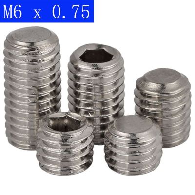 M6 X 0.75Mm (6Mm) SET Soket Sekrup Grub PITCH Halus Sekrup 304 Baja Tahan Karat DIN 913