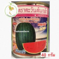 ( Pro+++ ) สุดคุ้ม แตงโมกินรีเอ็กตร้า 40กรัม ขายดี‼️ ราคาคุ้มค่า พรรณ ไม้ น้ำ พรรณ ไม้ ทุก ชนิด พรรณ ไม้ น้ำ สวยงาม พรรณ ไม้ มงคล