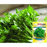 เมล็ดวอเตอร์เครสแท้ เมล็ด ผักน้ำเบตง Watercress ไม่ใช่ผักเป็ดญี่ปุ่น