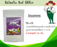 ดีสโซลวีน ซิงค์ อีดีทีเอ ธาตุอาหารเสริม สังกะสี 14% ปริมาตรสุทธิ 100 กรัม