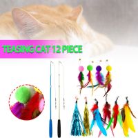 Mapiuo 12Pcs Kitten Cat Feather Bell Wand Teaser Rod Interactive Play ของเล่นสำหรับสัตว์เลี้ยง Gift