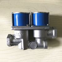 New Product Universal Solenoid Valve Double Solenoid Valve 24V For Gas Oven With Internal Thread Adapters Repair Parts