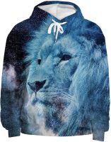 Aesthetic Novelty Hoodies for Unisex,Cool Sweatshirt 3D Animal Printed Comfort Relaxed Fit Streetwear Pullover for Holidays