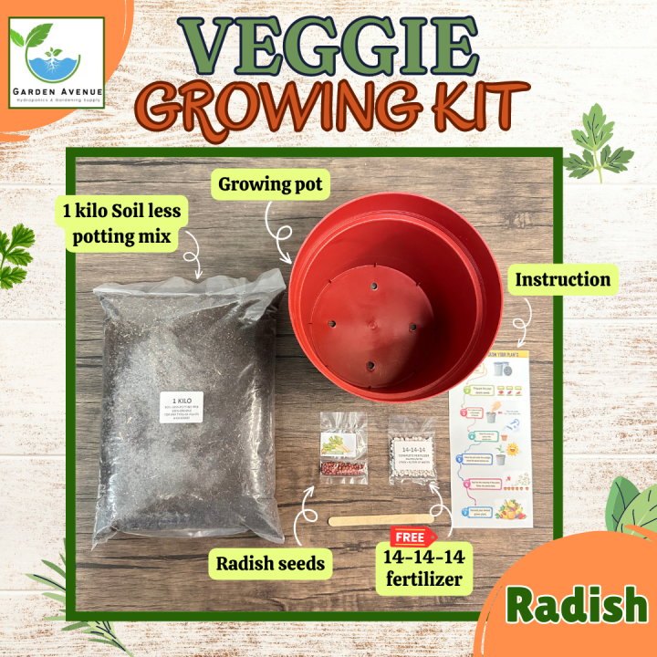 RADISH GROWING KIT READY TO PACKAGE/POT/SOIL/SEEDS