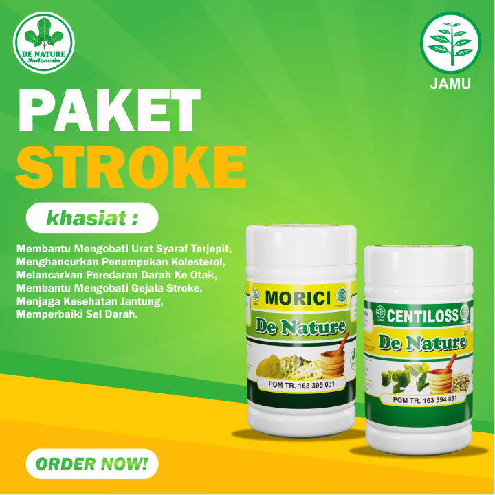 Obat Stroke Iskemik Dan Hemoragik, Stroke Di Wajah, Stroke Sebelah ...