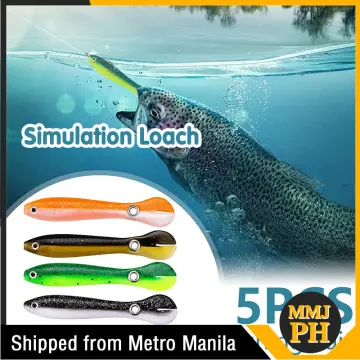 10pcs Luminous Bait, Loach Worm Soft Lures, Artificial Fishing
