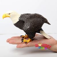 Monkey Toys - โมเดลสัตว์ Eagle นกอินทรีย์ ขนาด 16.00 CM (จากหาดใหญ่)