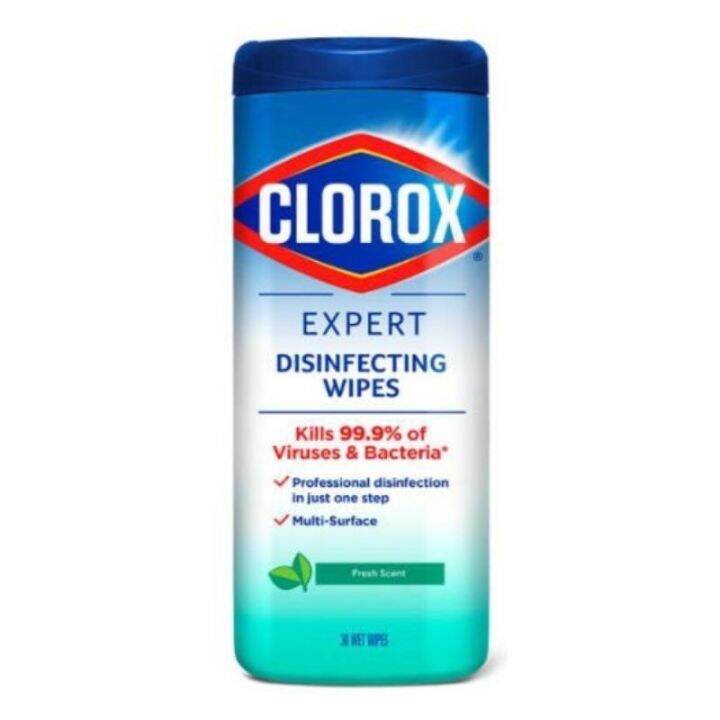 Clorox Disinfecting Wipes 30ct Lazada PH